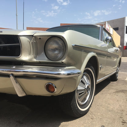 Forberz™ Carnauba Soft Wax